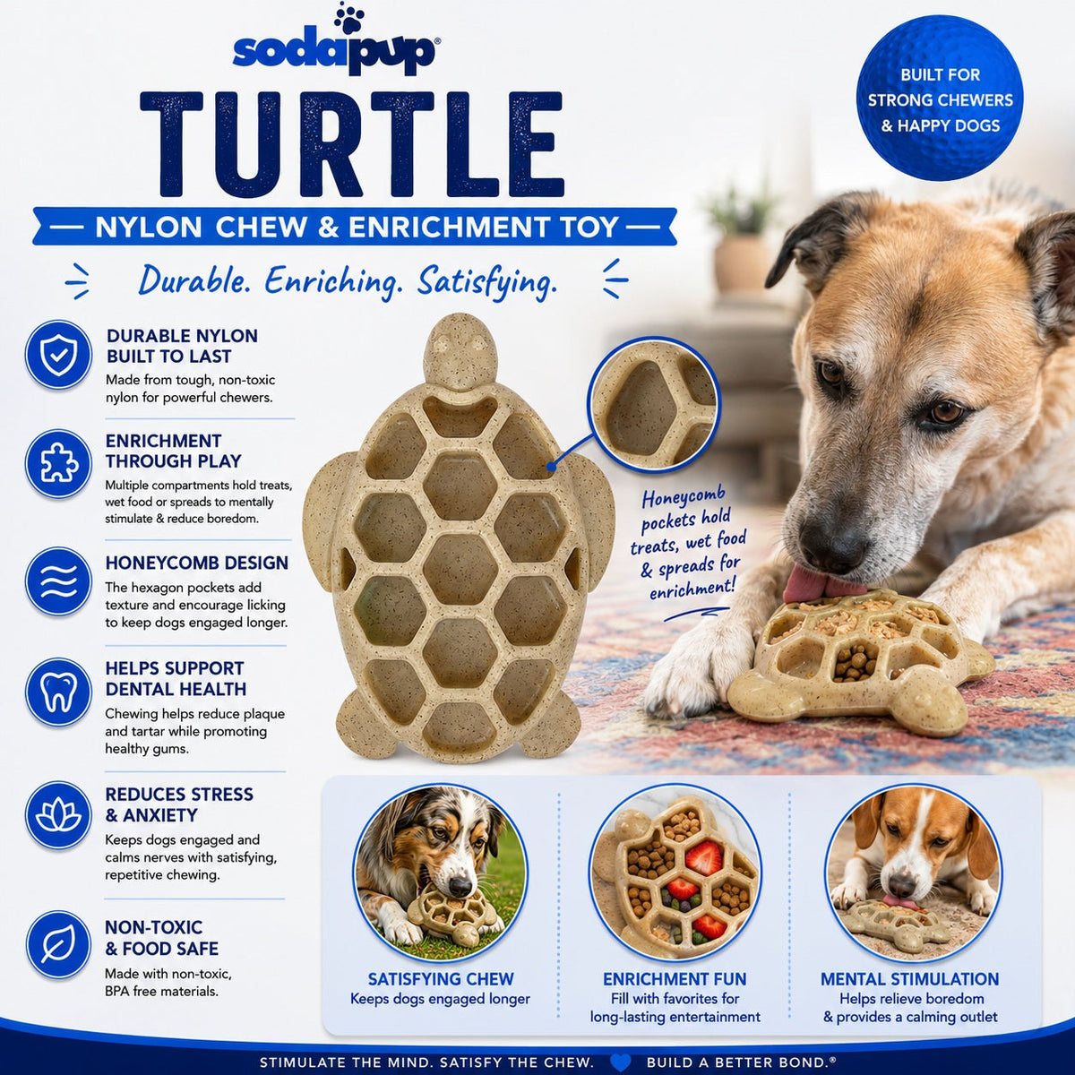 Turtle Chew Toy - Ultra-Durable Enrichment Toy
