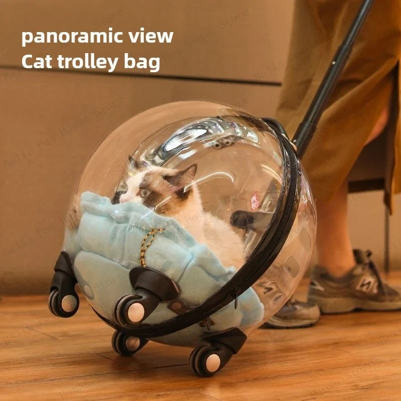 Unique Panoramic Cat Trolley
