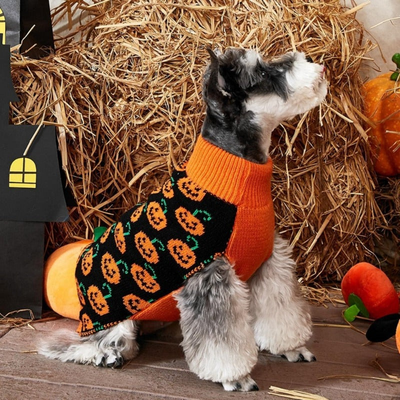 Halloween Pumpking Sweater