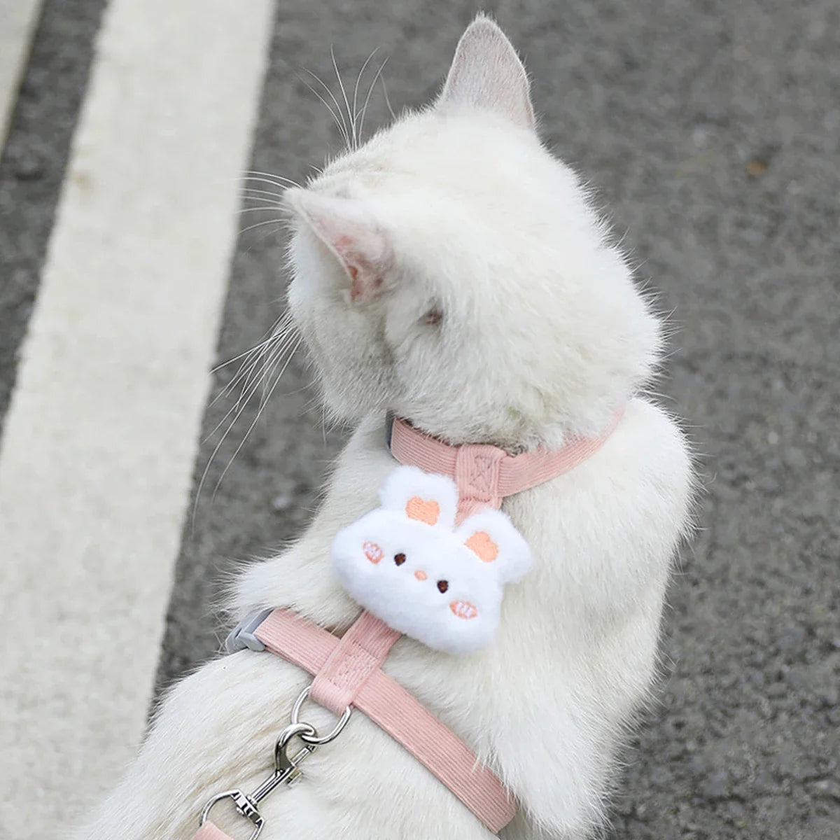 Cat & Dog Harness and Leash Set