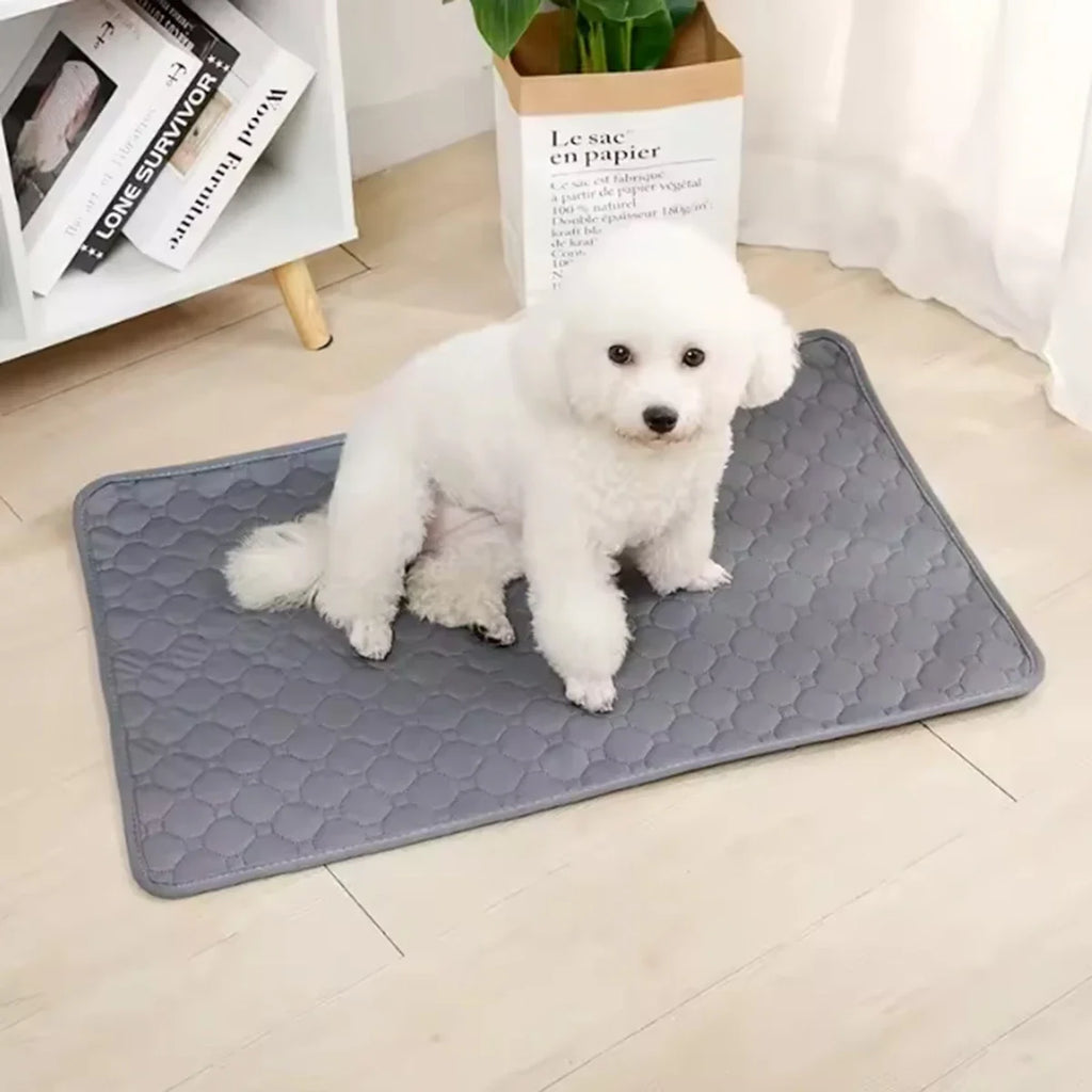 Reusable Dog Pee Pad