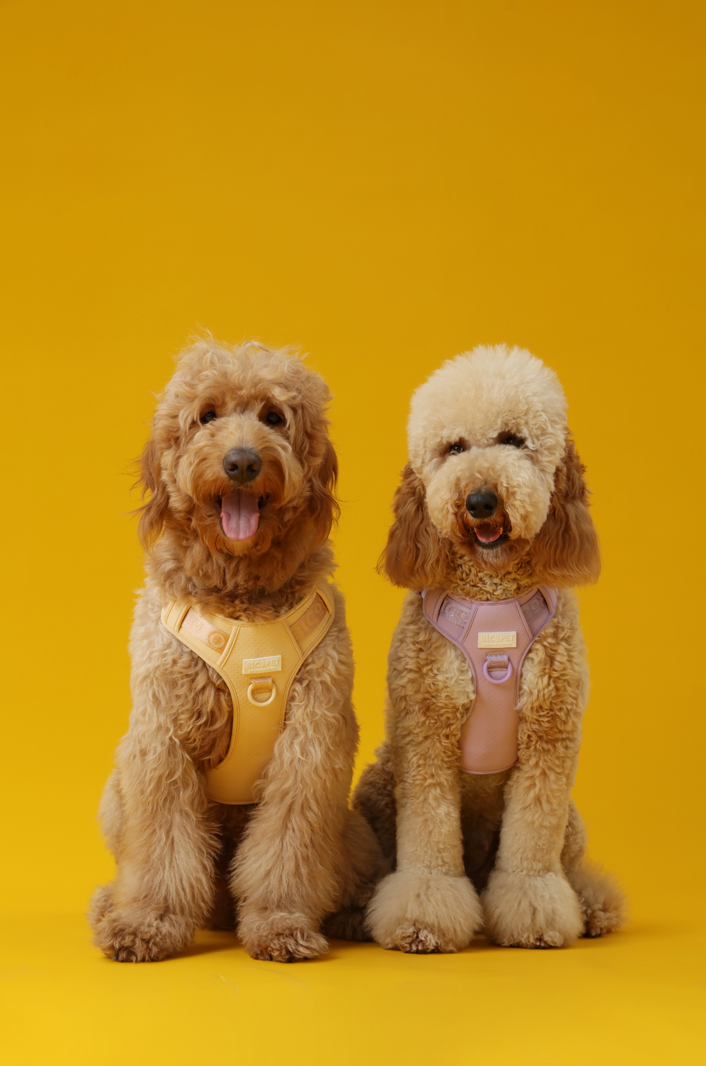 No Pull Dog Harness- APRICOT