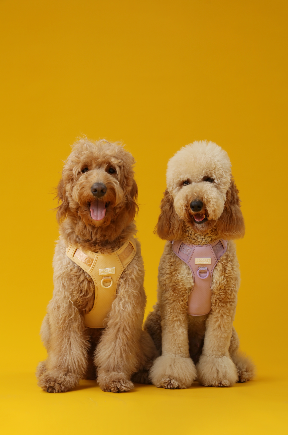 No Pull Dog Harness- APRICOT
