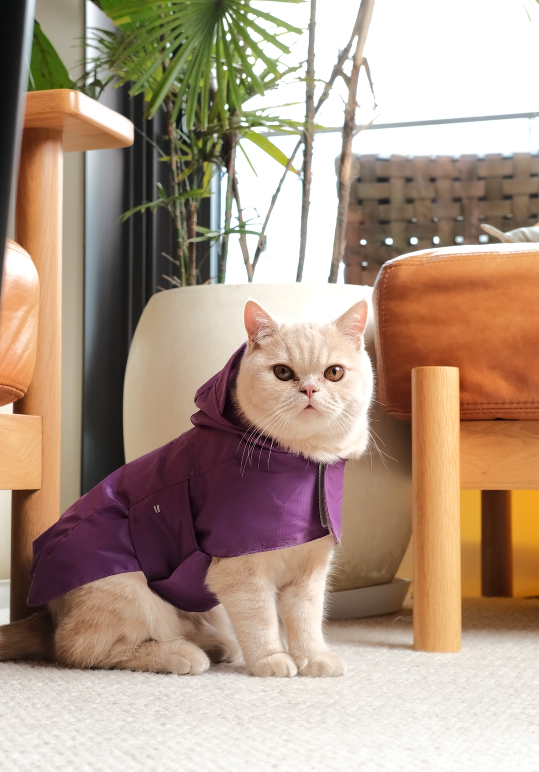 Green Capsule Raincoat