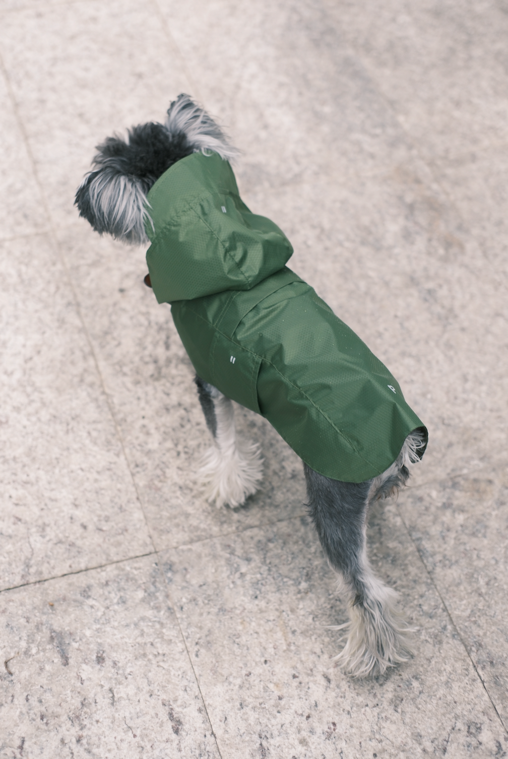 Green Capsule Raincoat
