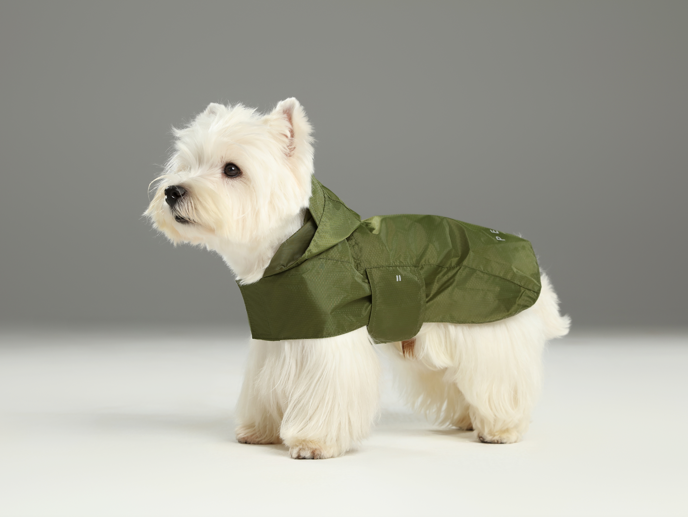 Green Capsule Raincoat