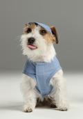Pehom Chill Vest Shirt- Blue