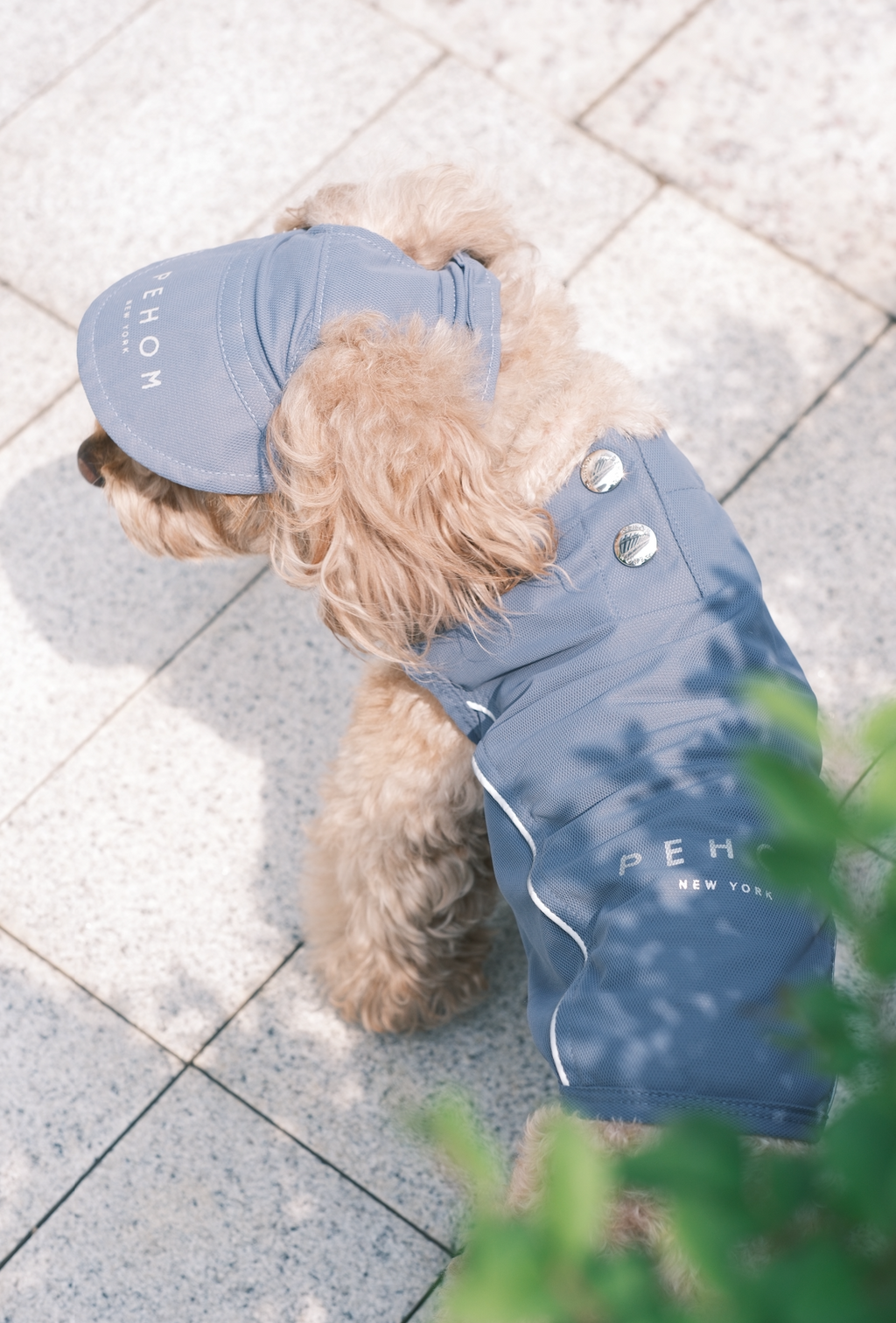 For Sunny Days/ Mocha Hat