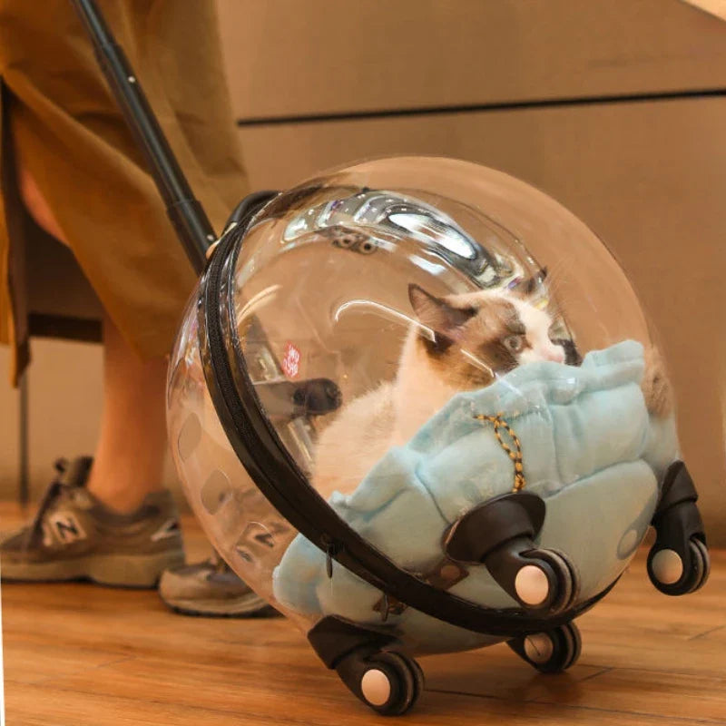 Unique Panoramic Cat Trolley