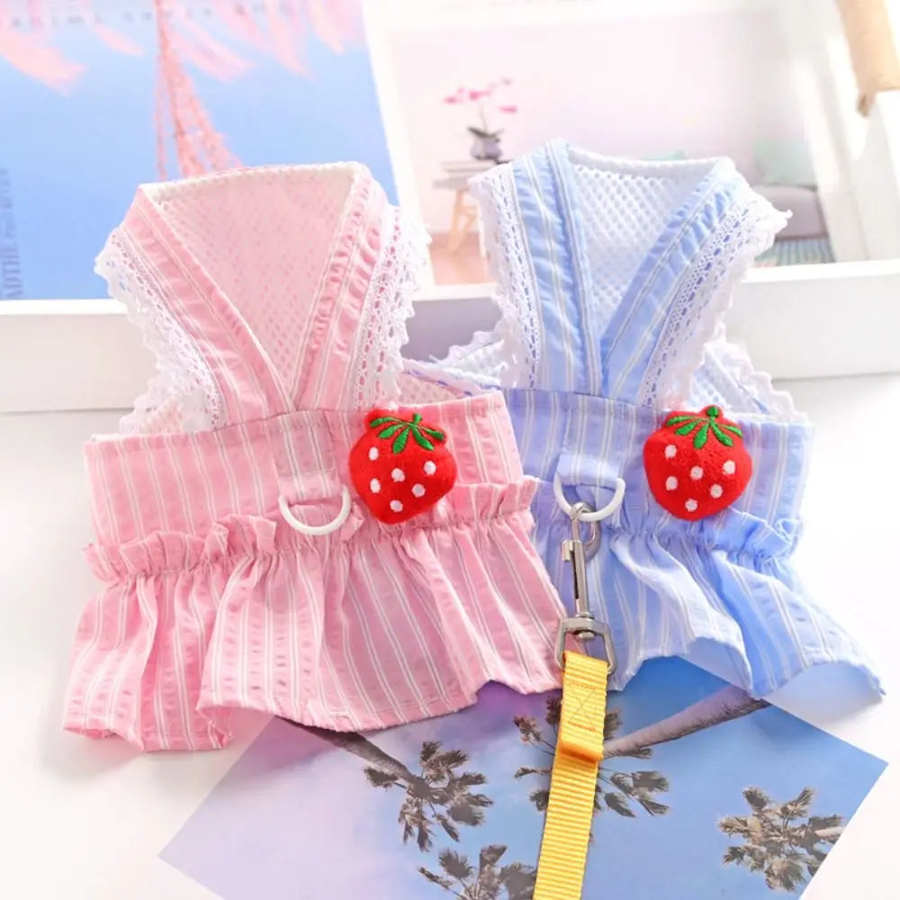 Strawberry Jumper