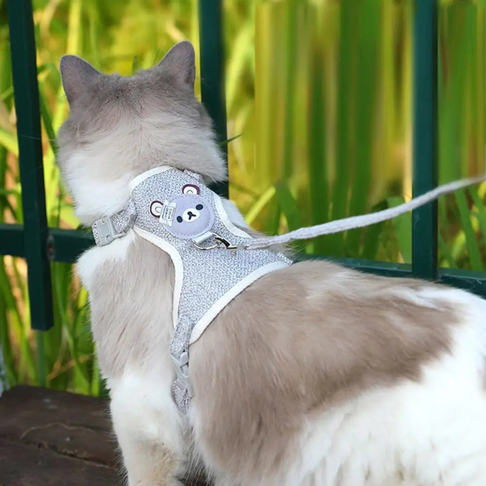 Cute Bear Harness