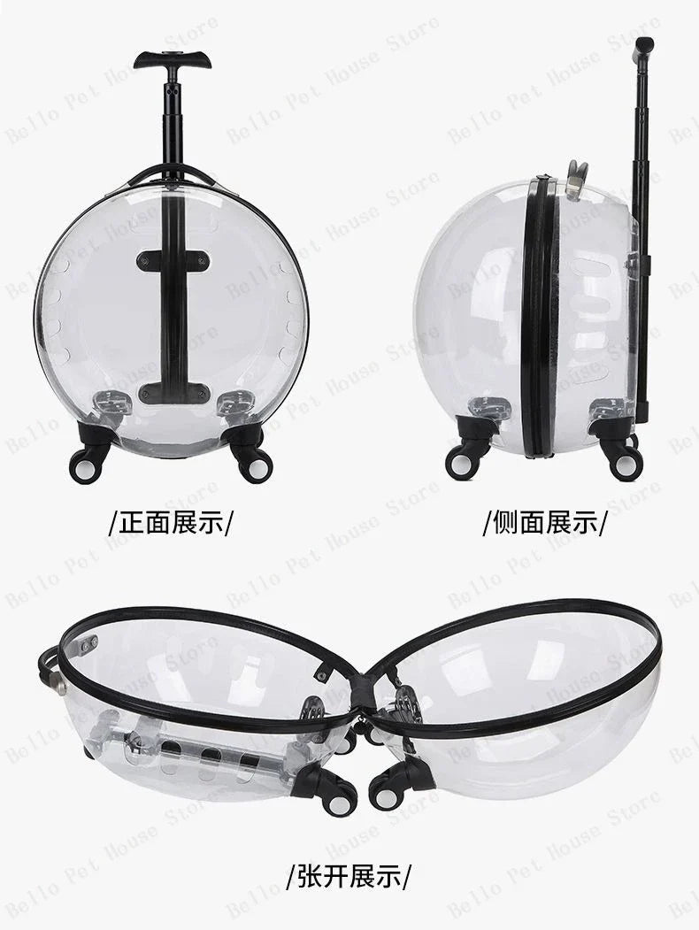 Unique Panoramic Cat Trolley