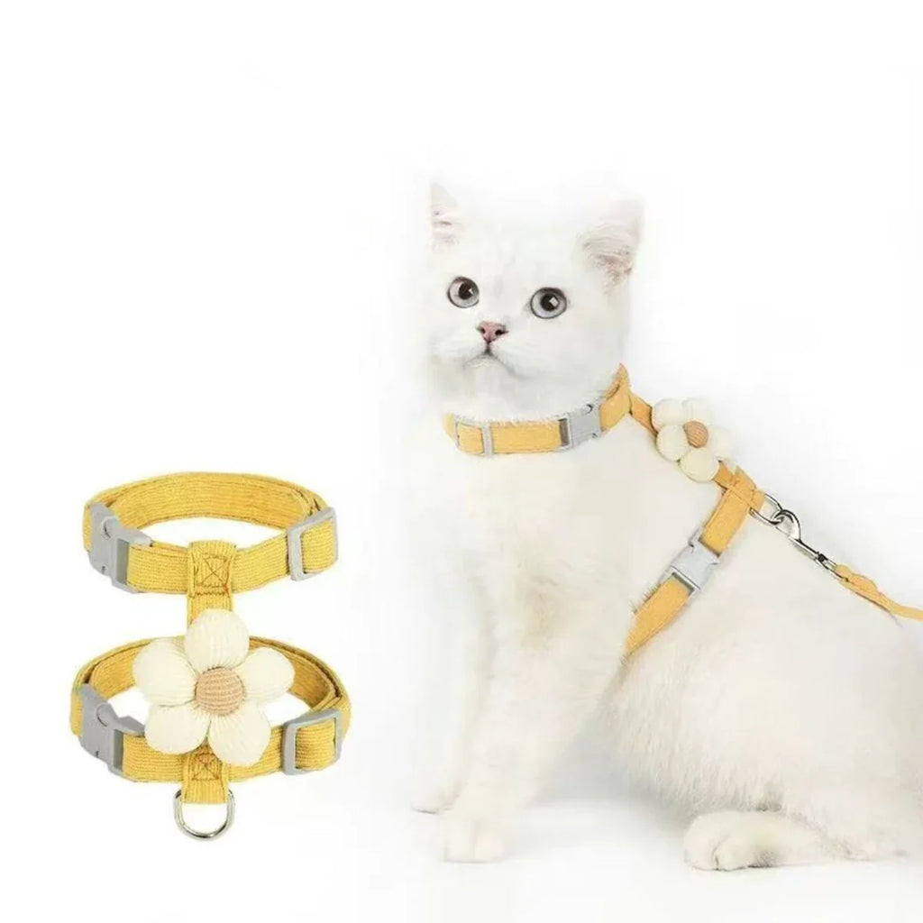 Cat & Dog Harness and Leash Set