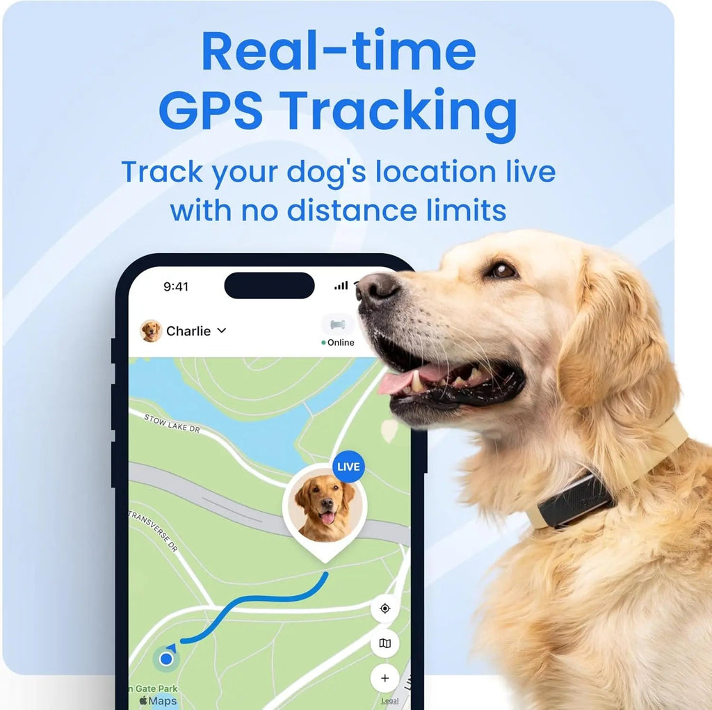 Smart Dog GPS Tracker