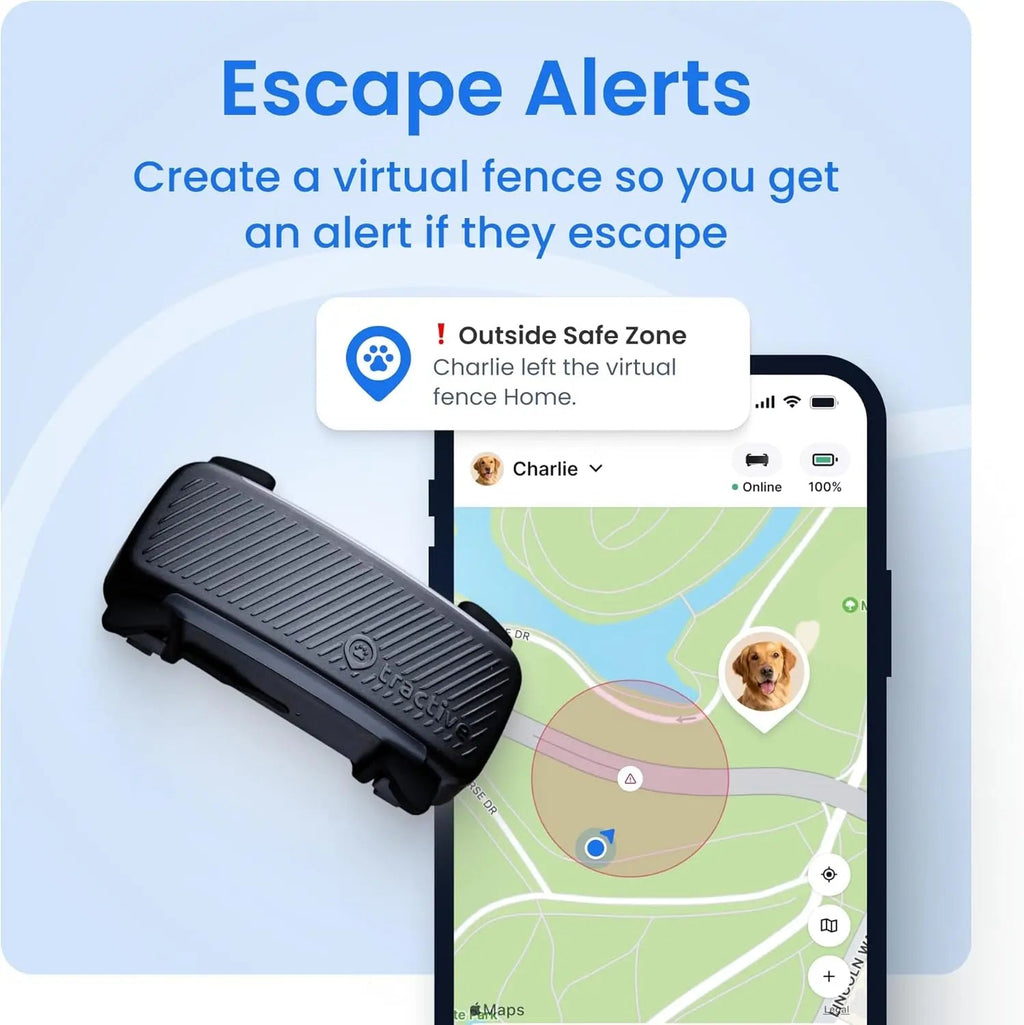 Smart Dog GPS Tracker