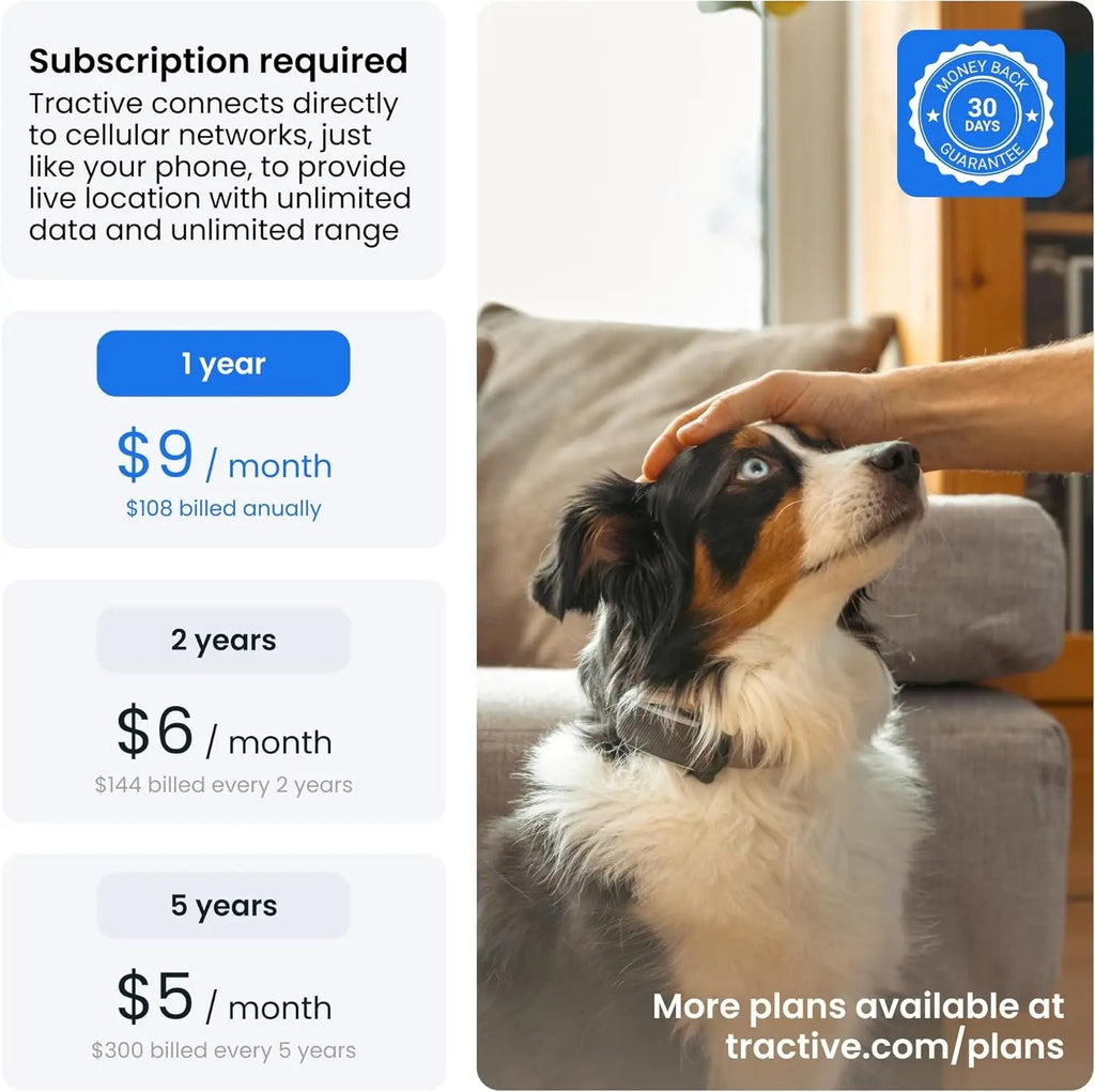 Smart Dog GPS Tracker