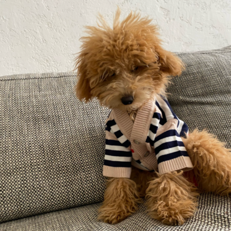 Striped Button-Down Cardigan