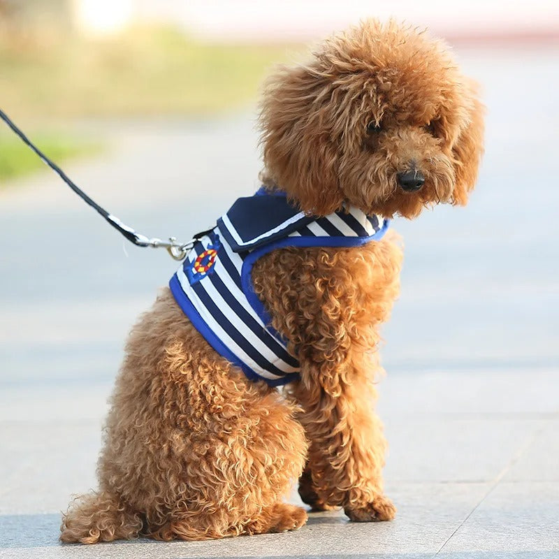 Striped Sailor Dog Harness & Leash Set
