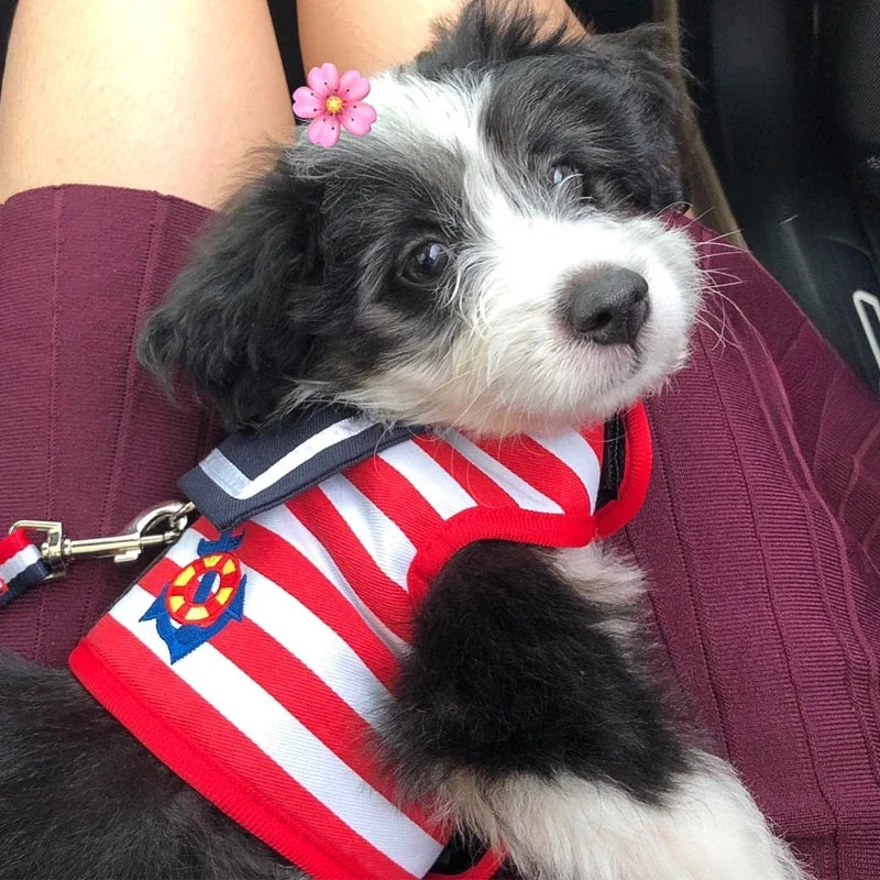 Striped Sailor Dog Harness & Leash Set
