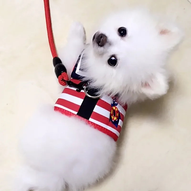 Striped Sailor Dog Harness & Leash Set