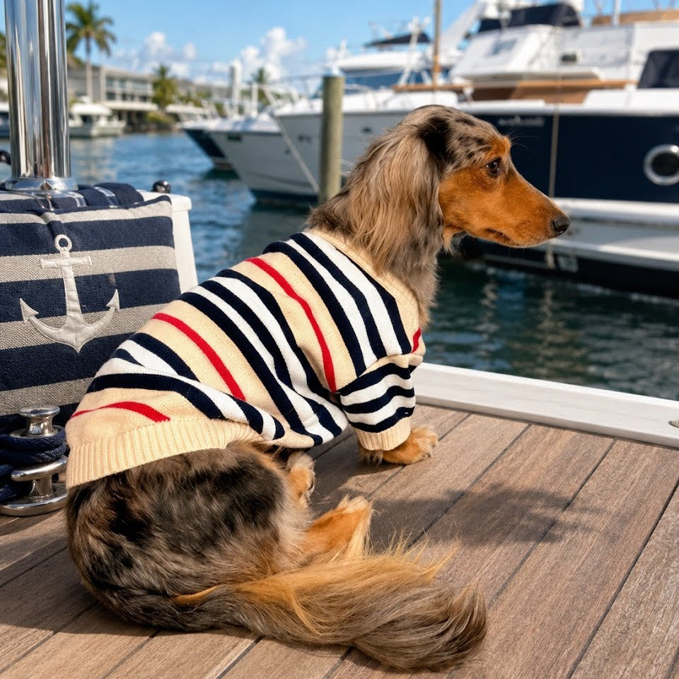 Striped Button-Down Cardigan