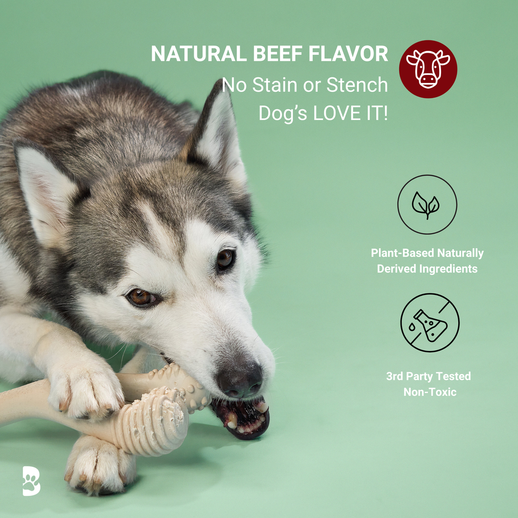 BetterBone CHEW TOY: Naturally Derived Ingredients, Eco-Friendly, Non-Toxic
