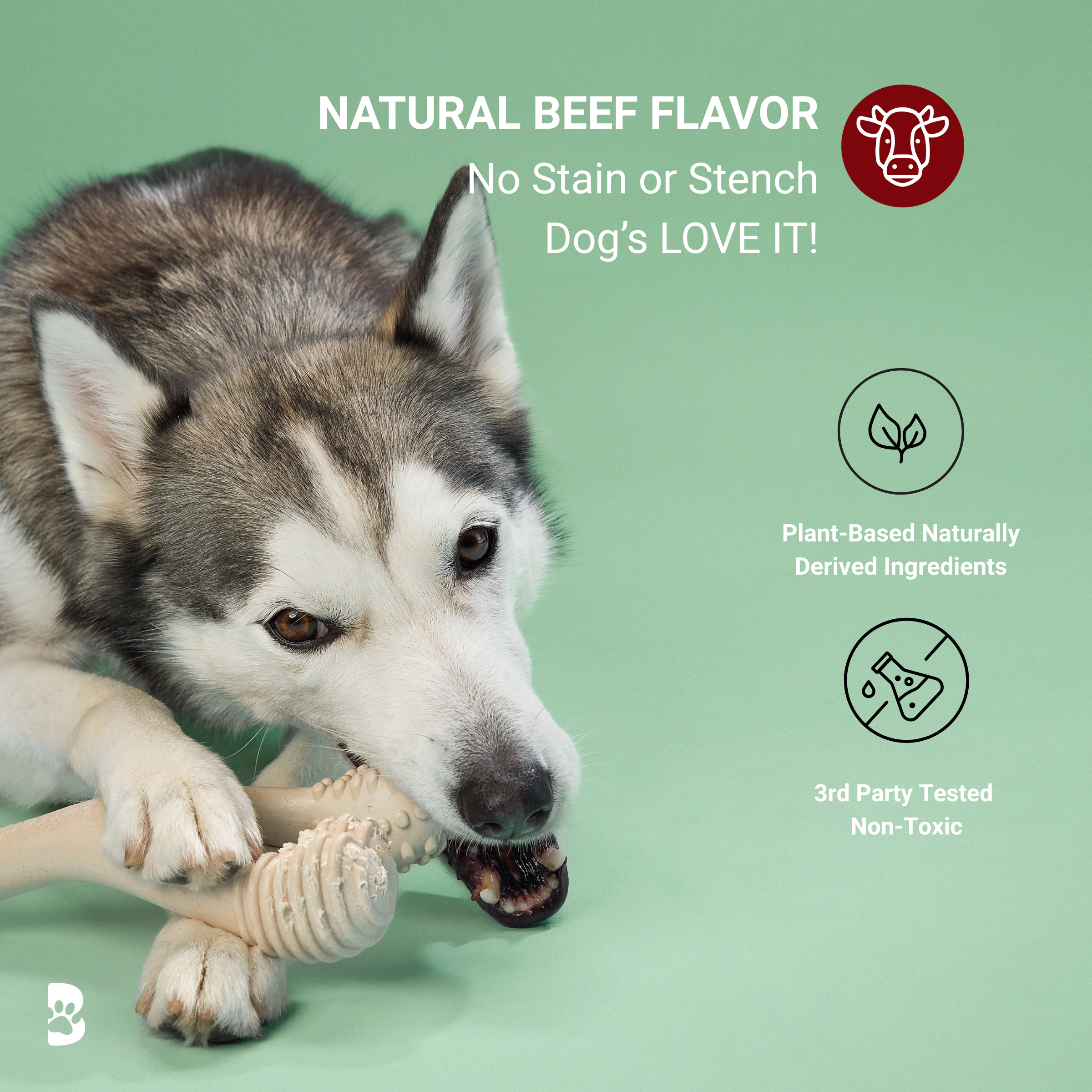 BetterBone CHEW TOY: Naturally Derived Ingredients, Eco-Friendly, Non-Toxic