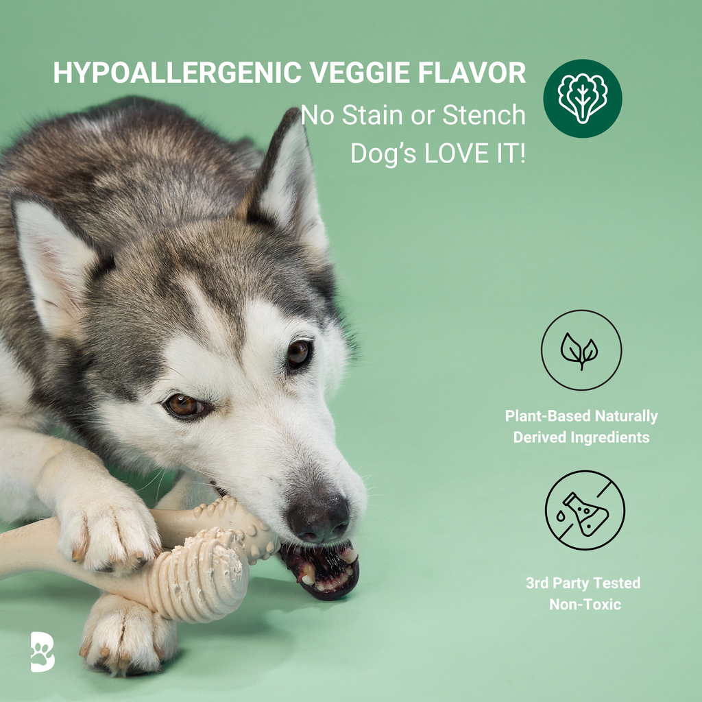 BetterBone CHEW TOY: Naturally Derived Ingredients, Eco-Friendly, Non-Toxic