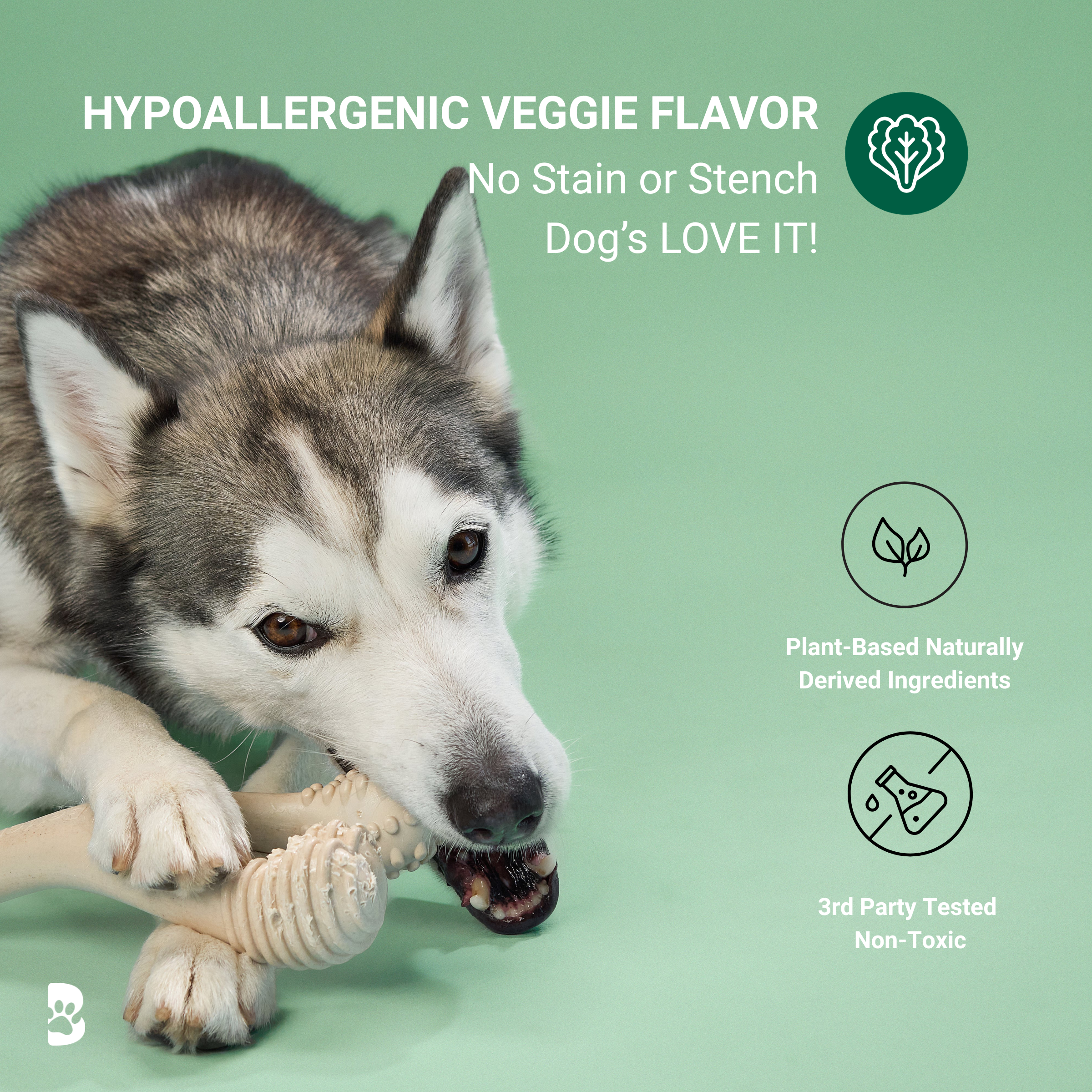 BetterBone CHEW TOY: Naturally Derived Ingredients, Eco-Friendly, Non-Toxic