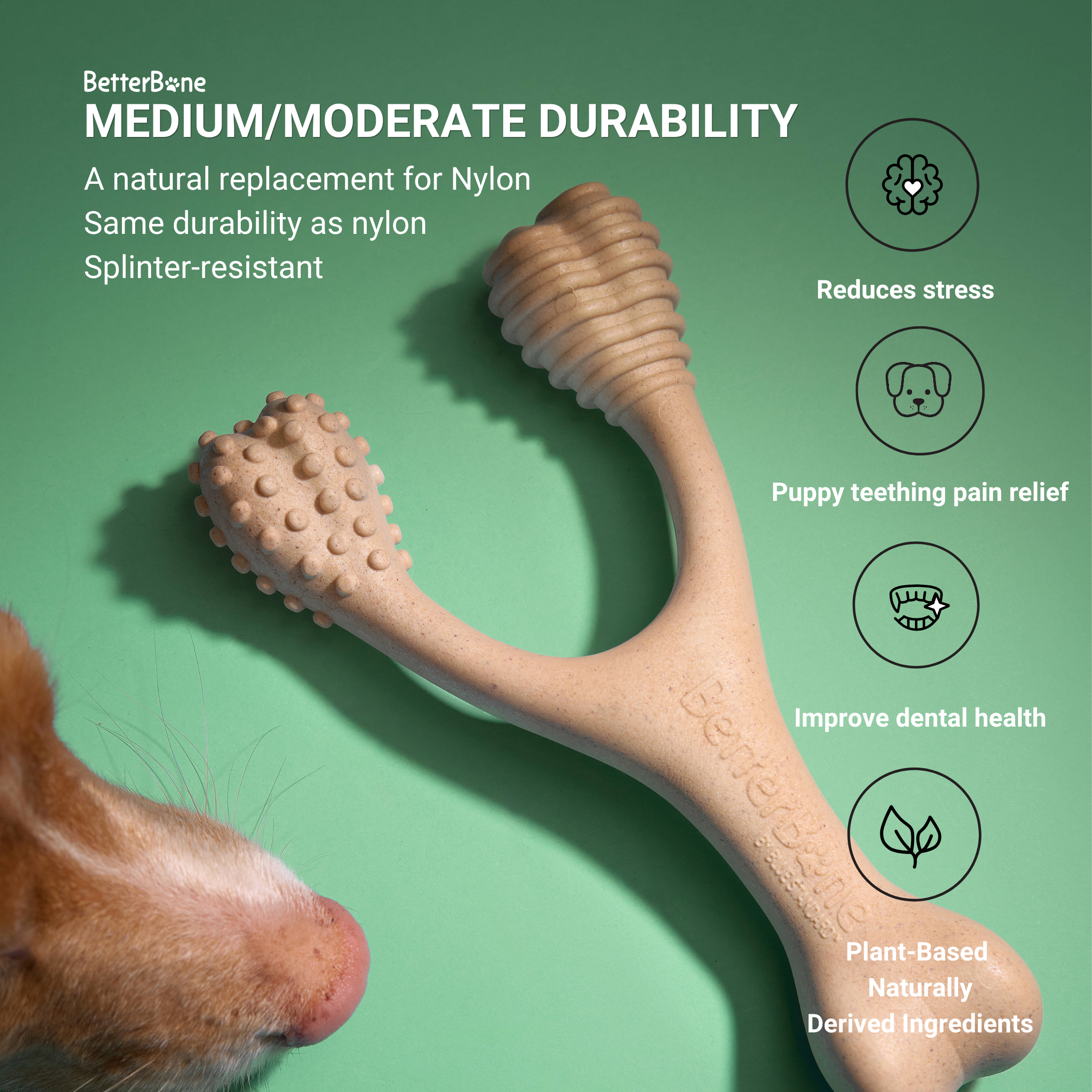 BetterBone CHEW TOY: Naturally Derived Ingredients, Eco-Friendly, Non-Toxic