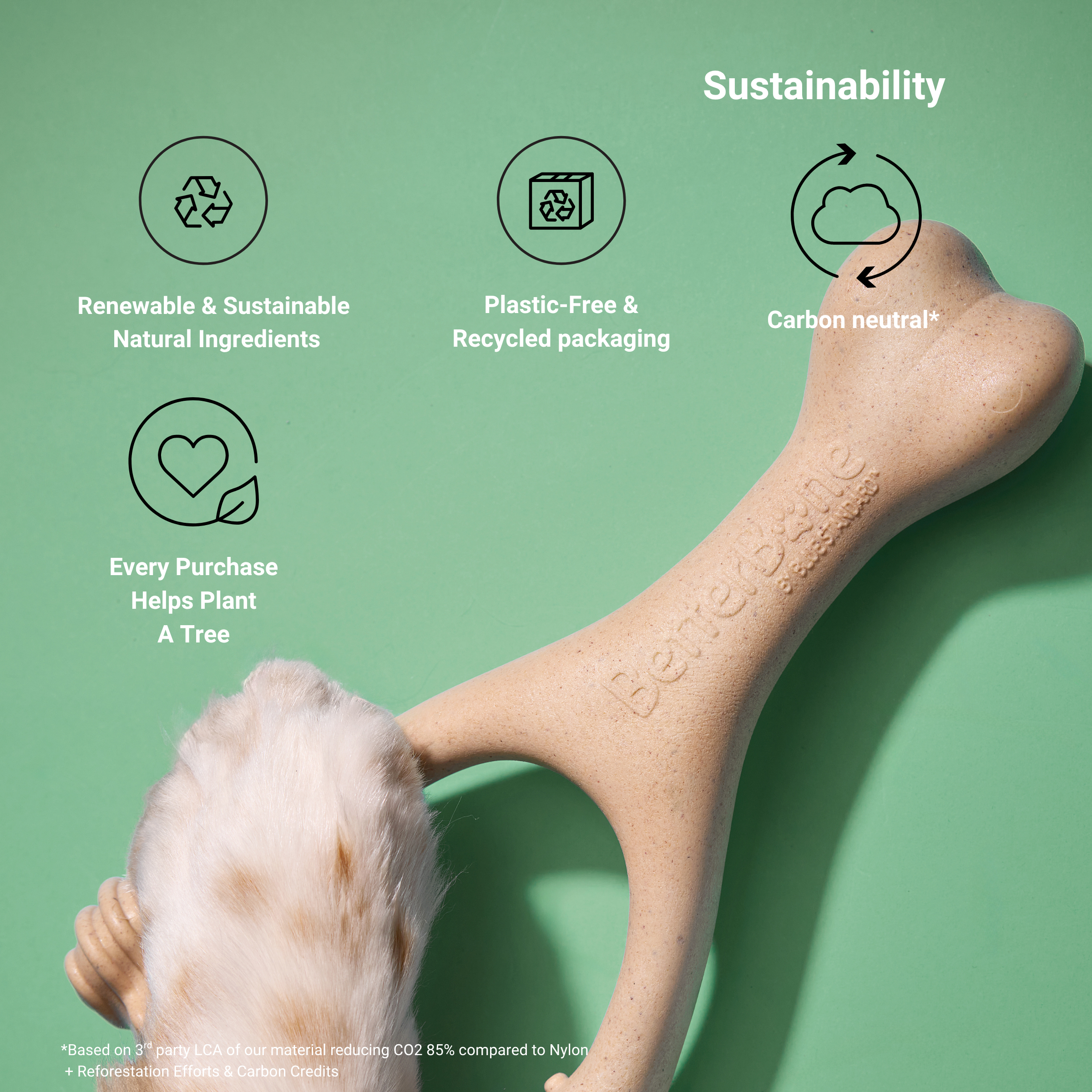 BetterBone CHEW TOY: Naturally Derived Ingredients, Eco-Friendly, Non-Toxic