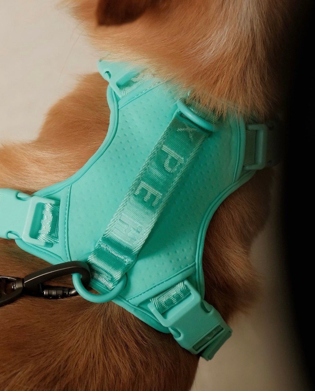 No Pull Harness Mint Green