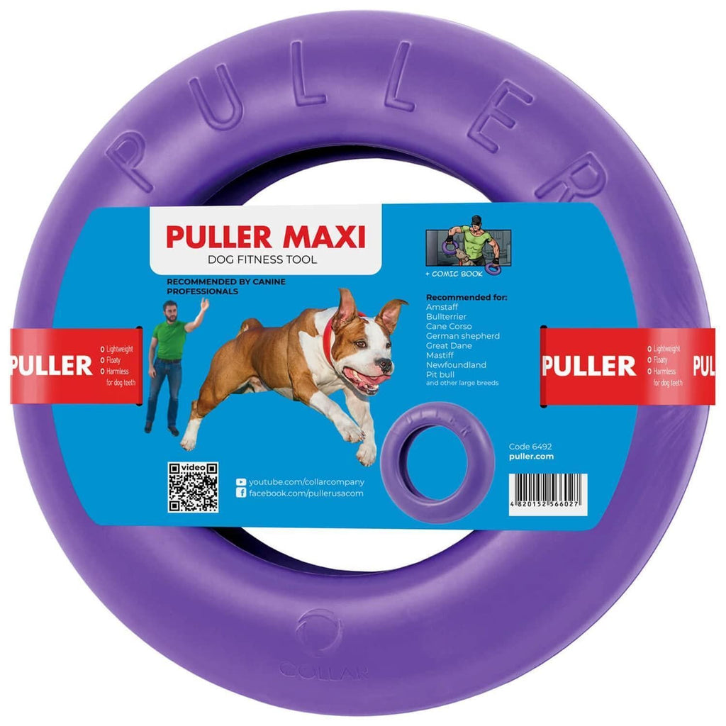 Ring Fetch Toy Large