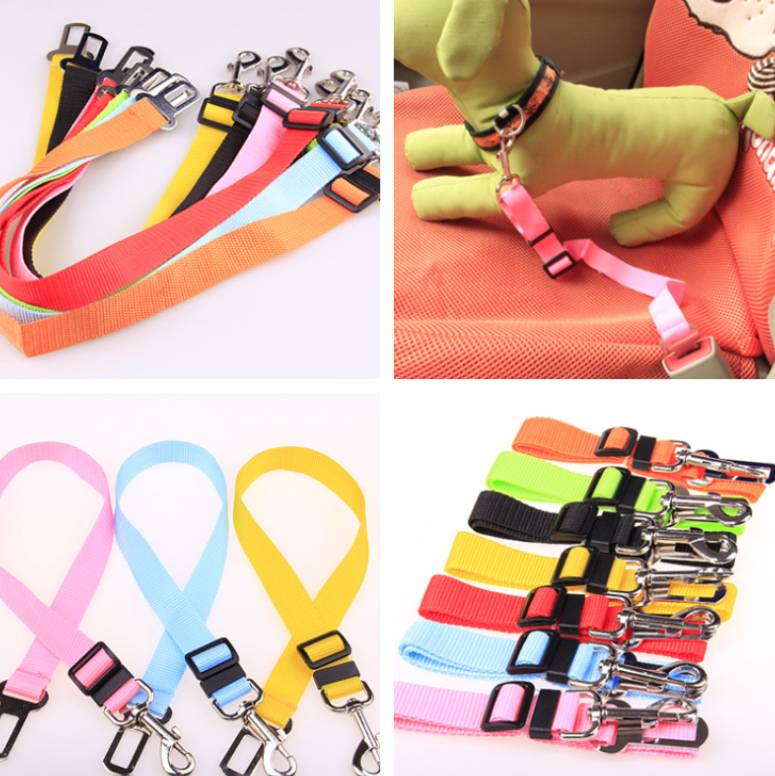 Fixed Strap Dog Strap Leash