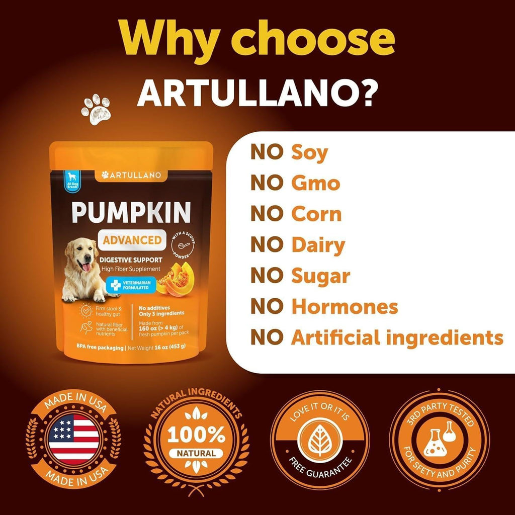 Pumpkin Powder for Dogs Digestive Wellness