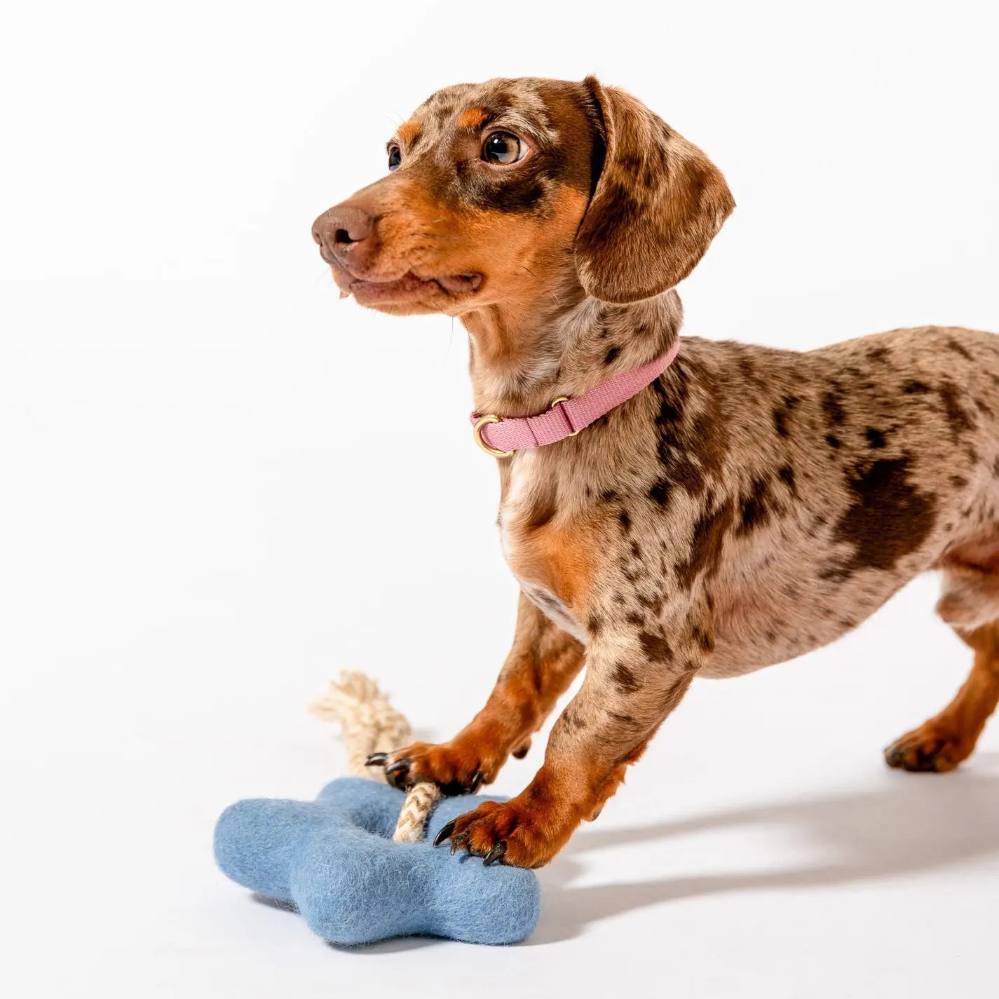 Comet's Tail Felt Wool Toy