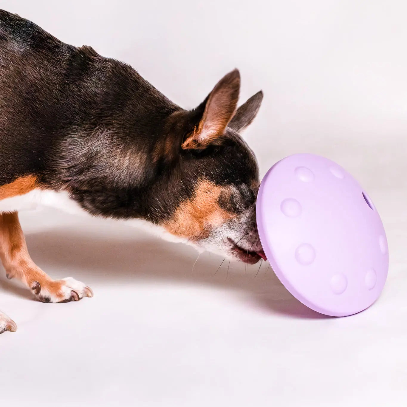 Flying Saucer Puzzle Toy