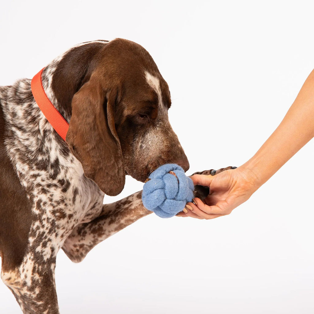Knot Felt Toy