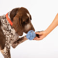 Knot Felt Toy
