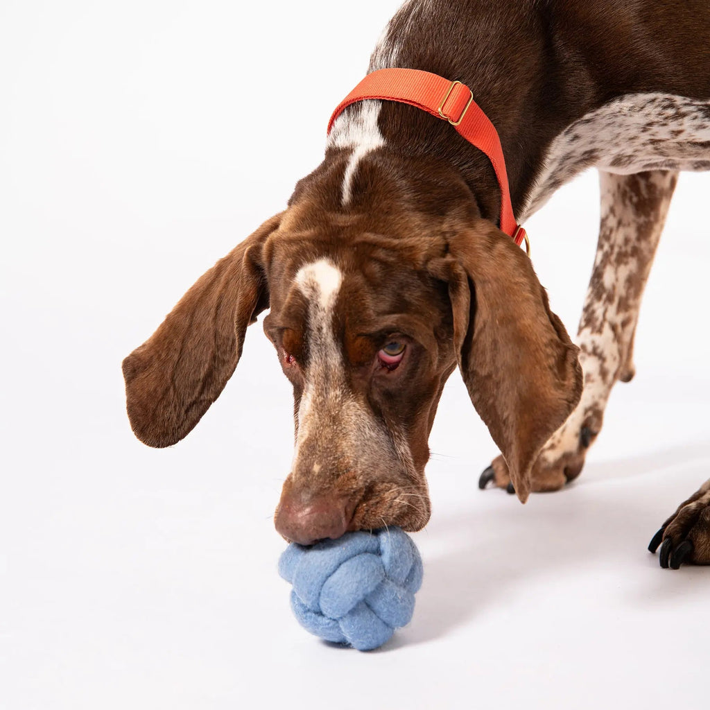 Knot Felt Toy