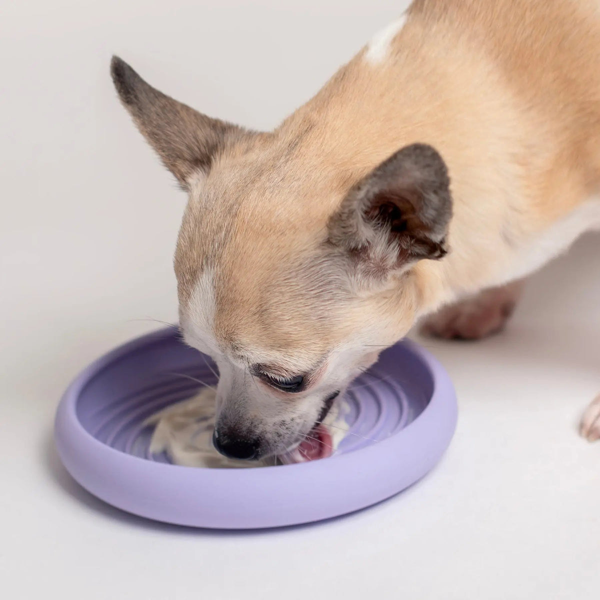 Lick Slow Feeder