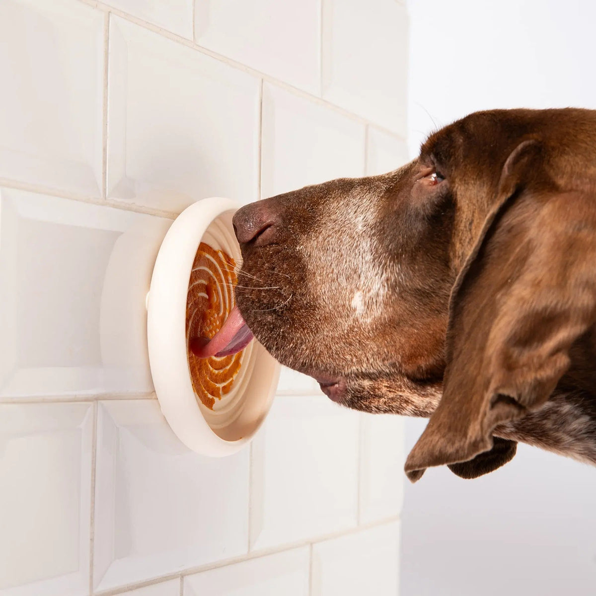 Lick Slow Feeder