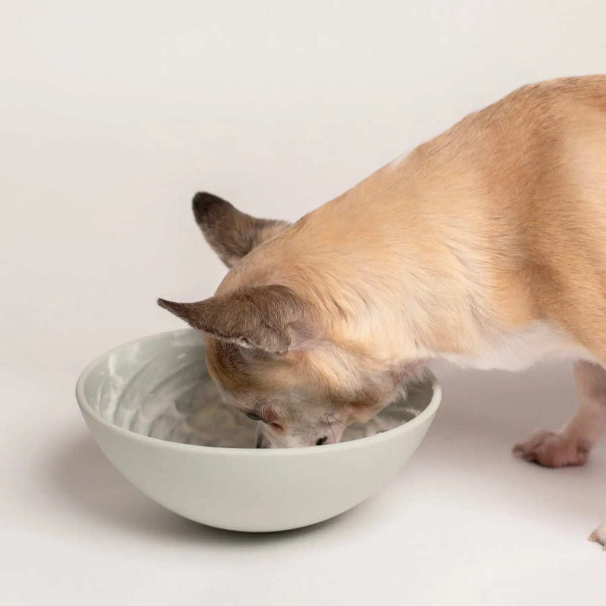 Wobbowl Lick Mat & Slow Feeder Bowl