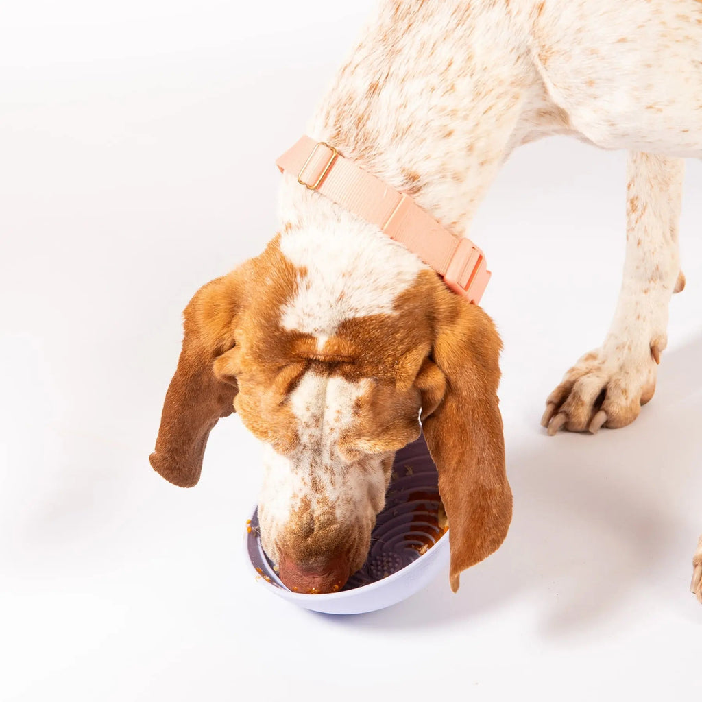 Wobbowl Lick Mat & Slow Feeder Bowl
