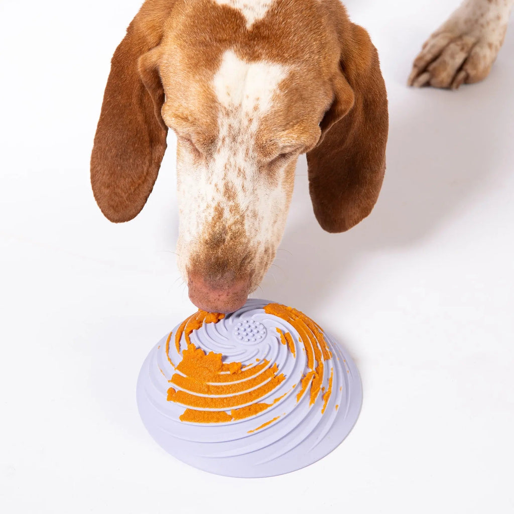 Wobbowl Lick Mat & Slow Feeder Bowl