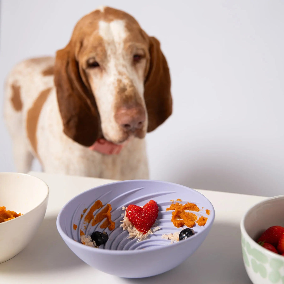 Wobbowl Lick Mat & Slow Feeder Bowl