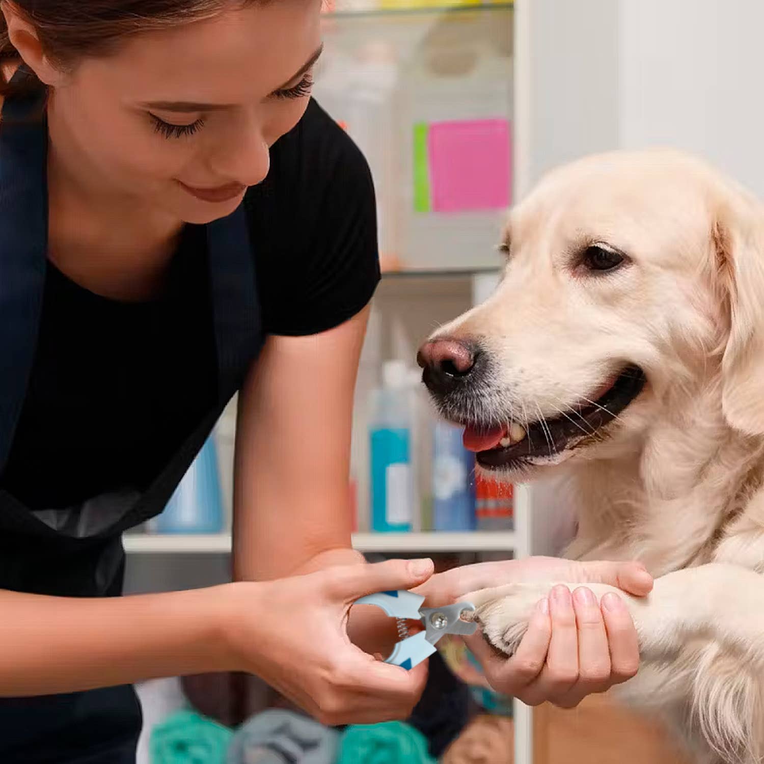 Eco-Friendly Pet Nail Clipper