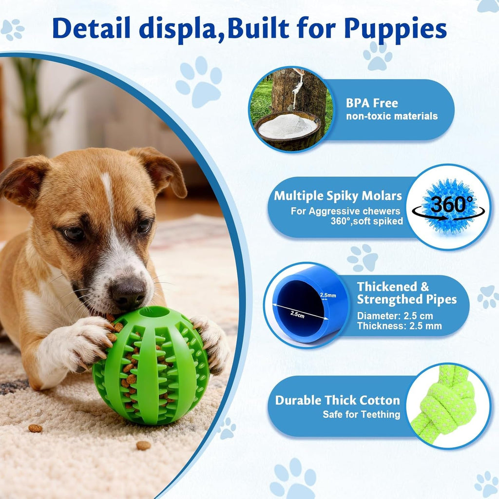 Interactive Puppy Play Gym