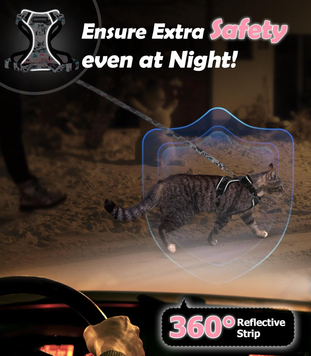Cat Harness and Leash