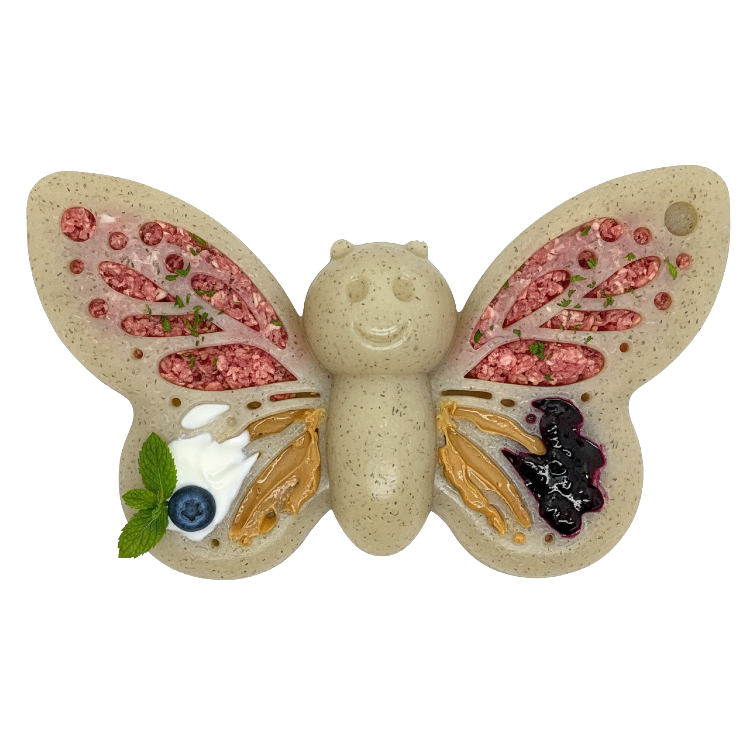 Butterfly Chew & Enrichment Toy